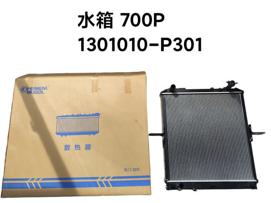 Feimenl Mugol Radyatör Montajı ISUZU NPR NQR 4HK1,1301010-P301