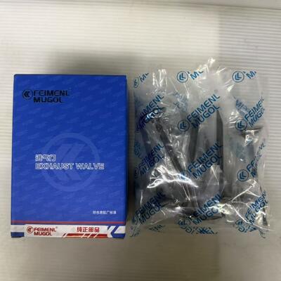 Kalite Great Wall 4D20D ve 4D20B motorları için Premium Kaliteli Giriş Valfı 1007011-ED01, Performans ve Dayanıklılık İçin Yapılmış. Fabrika